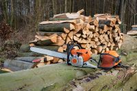 Foto: Holzstapel und Kettensäge